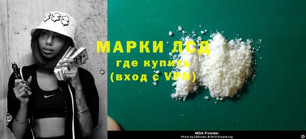 сатива Ростов