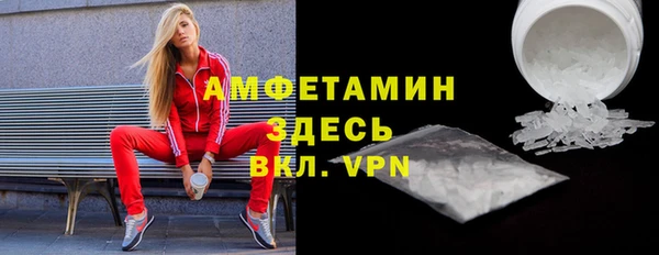 сатива Ростов