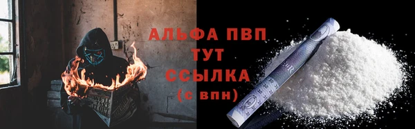 индика Россошь