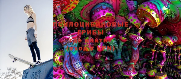 индика Россошь