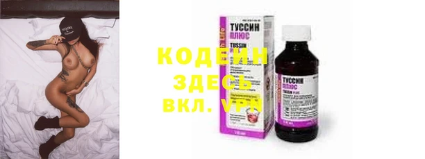 индика Россошь