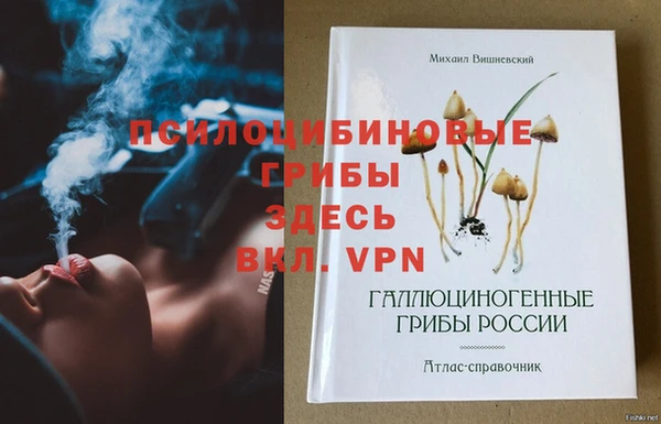 сатива Ростов