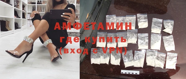сатива Ростов