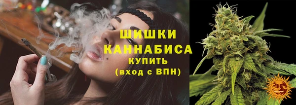 сатива Ростов