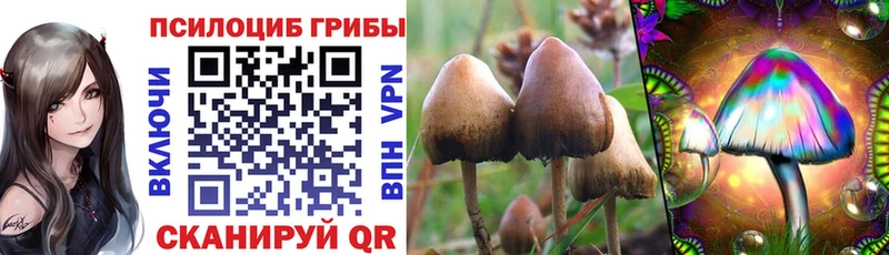 Галлюциногенные грибы Magic Shrooms  Кашира 